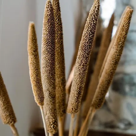 Le 5 Terre Maison d'hôtes